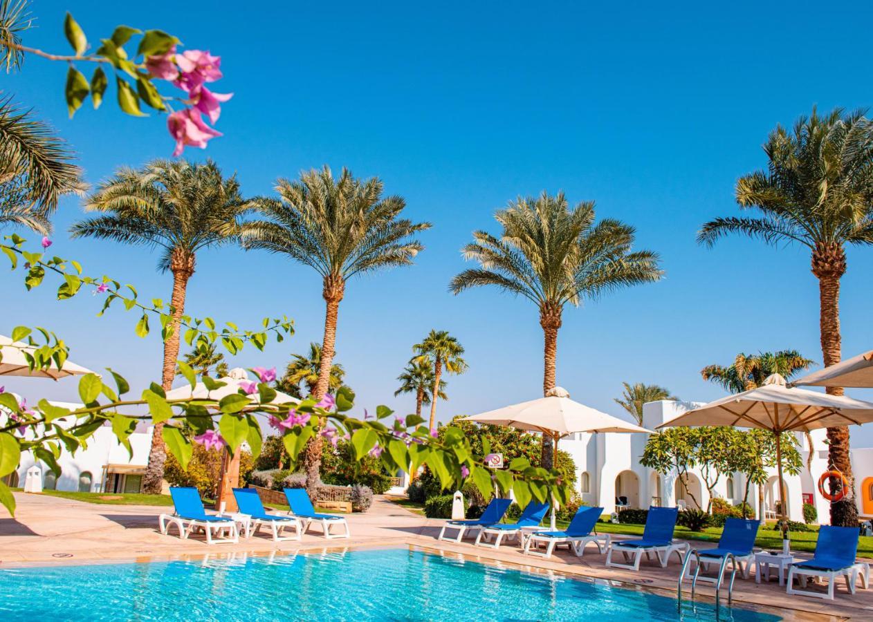 Novotel 5* שארם א-שייח